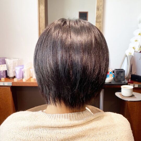 レディースカットカラー